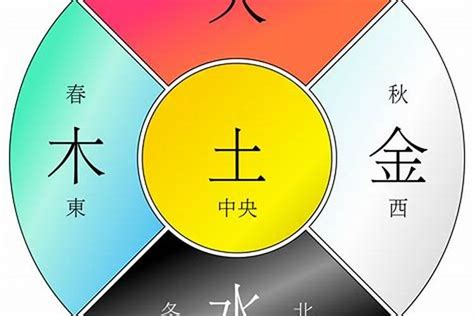 五行木代表|木的五行特性